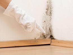 Best Water Damage & Mold Remediation  in Carthage, TN